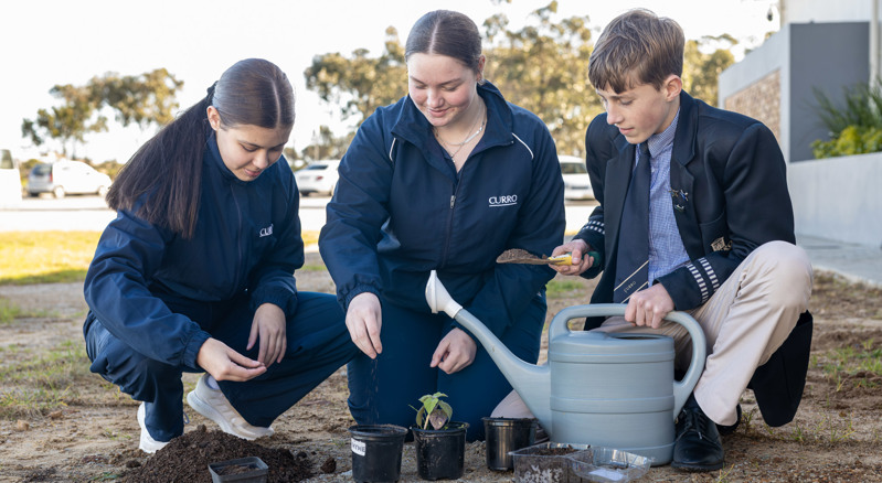 Curro Westbrook, high school in Westbrook Estate, Gqeberha, Port Elizabeth, Curro education, IEB school, Robotics, Curro school, Curro fees, private school